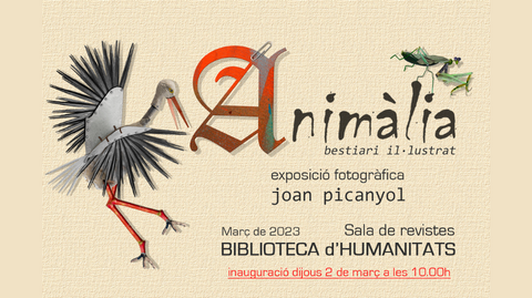 Cartell Animàlia, bestiari il·lustrat amb dos imatges d'animals d'en Joan Picanyol